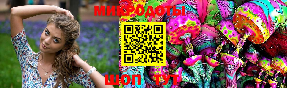 Галлюциногенные грибы Psilocybine cubensis Сегежа