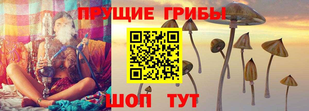 Сегежа  Псилоцибиновые грибы Magic Shrooms  Галлюциногенные грибы мицелий  Вход с VPN 