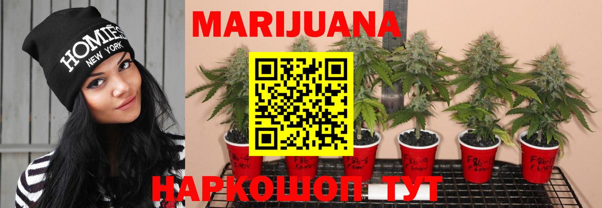 Каннабис THC 21% Сегежа